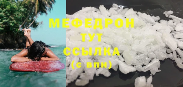 шишки Новодвинск