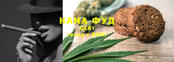 шишки Новодвинск