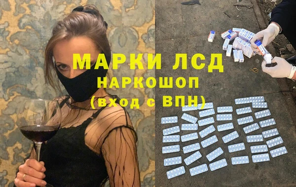 таблы Новозыбков