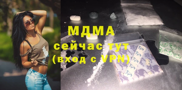 шишки Новодвинск