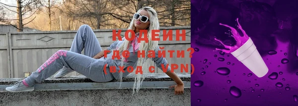 шишки Новодвинск