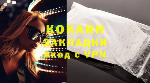 шишки Нязепетровск